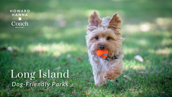 Dog Parks - Nassau and Suffolk Counties, NY - Coach Realtors